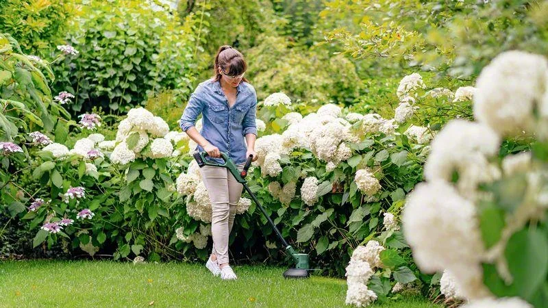 Akku-Rasentrimmer EasyGrassCut 18V-26 - 2