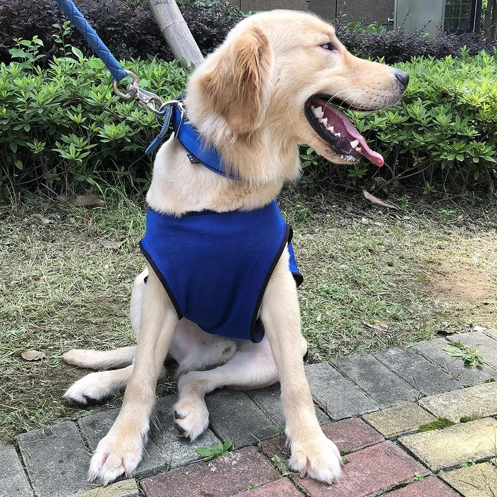 Hunde Kühlweste Kühljacke Cooling Vest schnelle Abkühlung Polyester Blau Ø56 x 60 cm - 3
