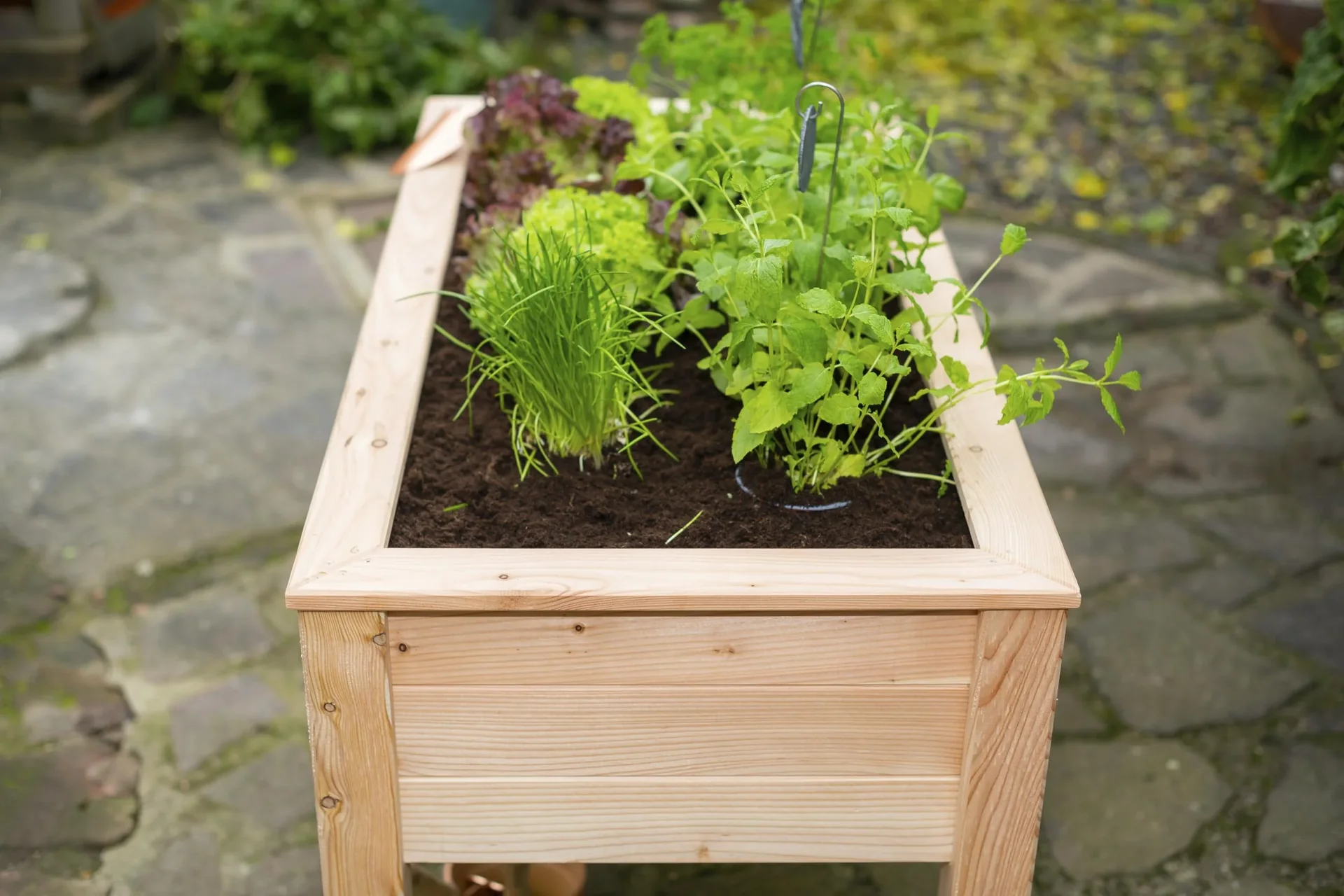 Stelzenhochbeet Emily ohne Boden - 8