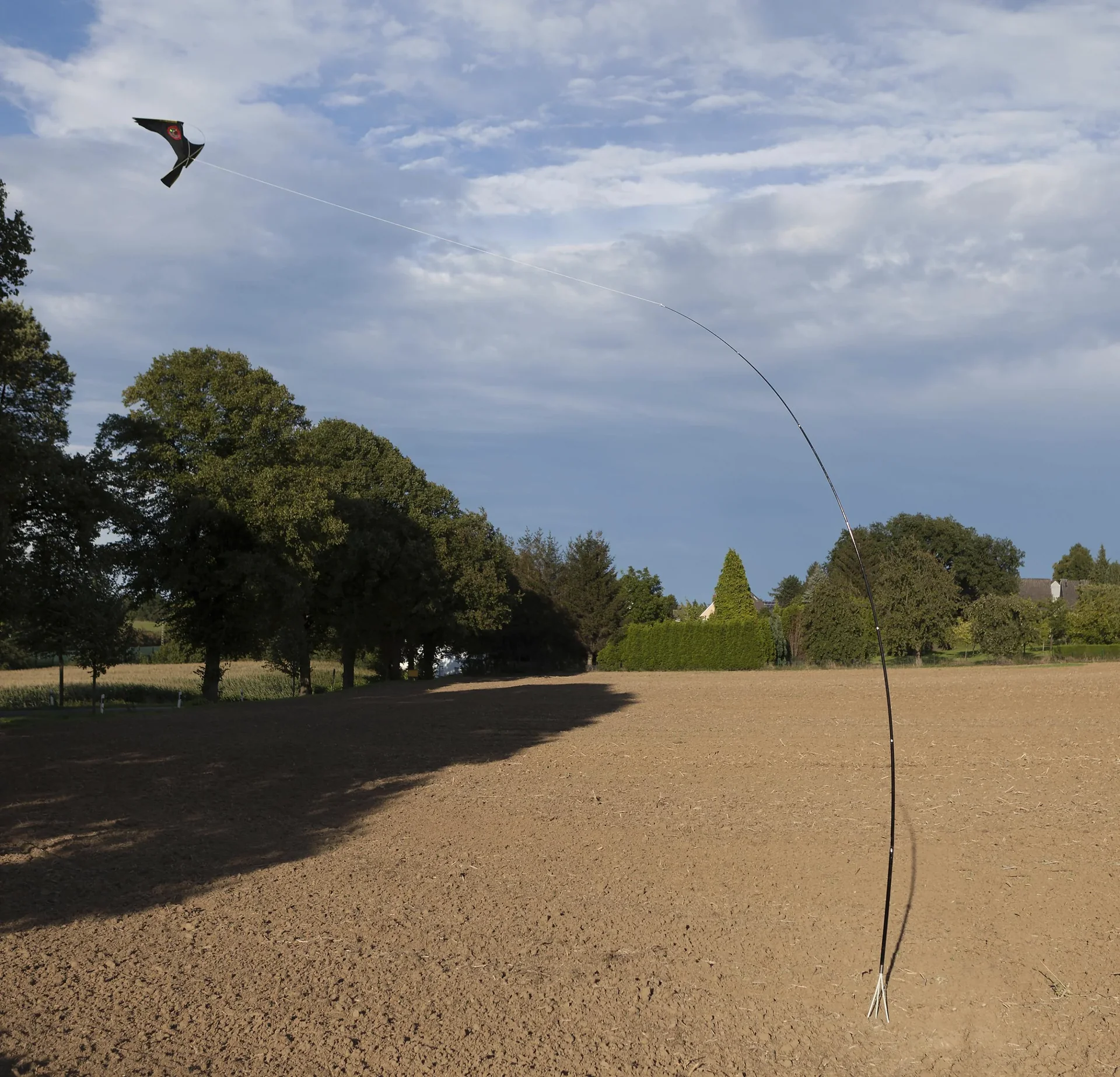 Vogel Abwehr - Drache mit 9 m Stab - 0