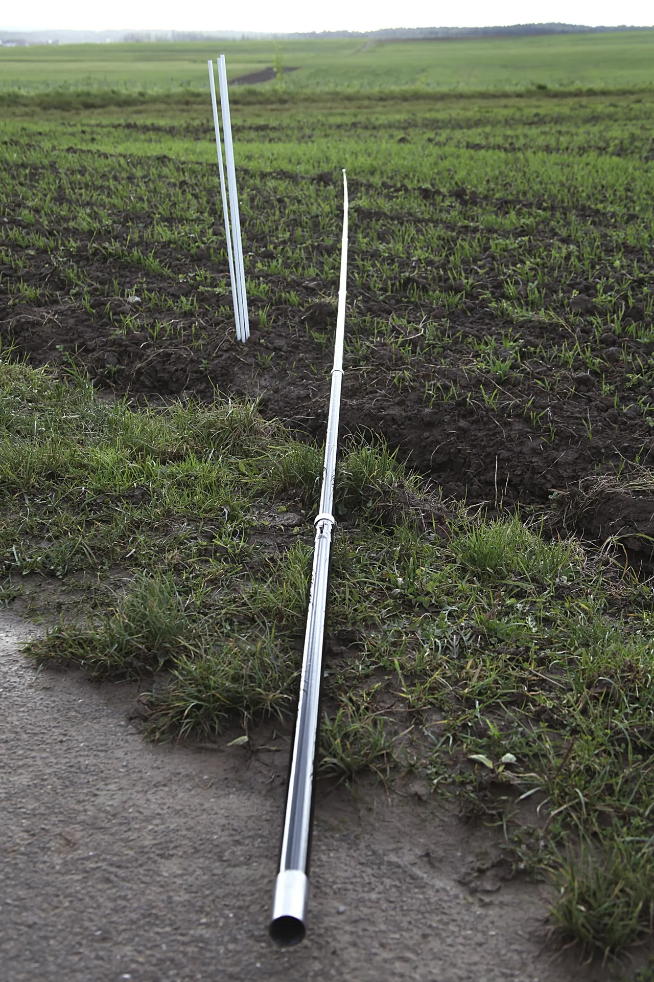 Vogel Abwehr - Drache mit 9 m Stab - 3