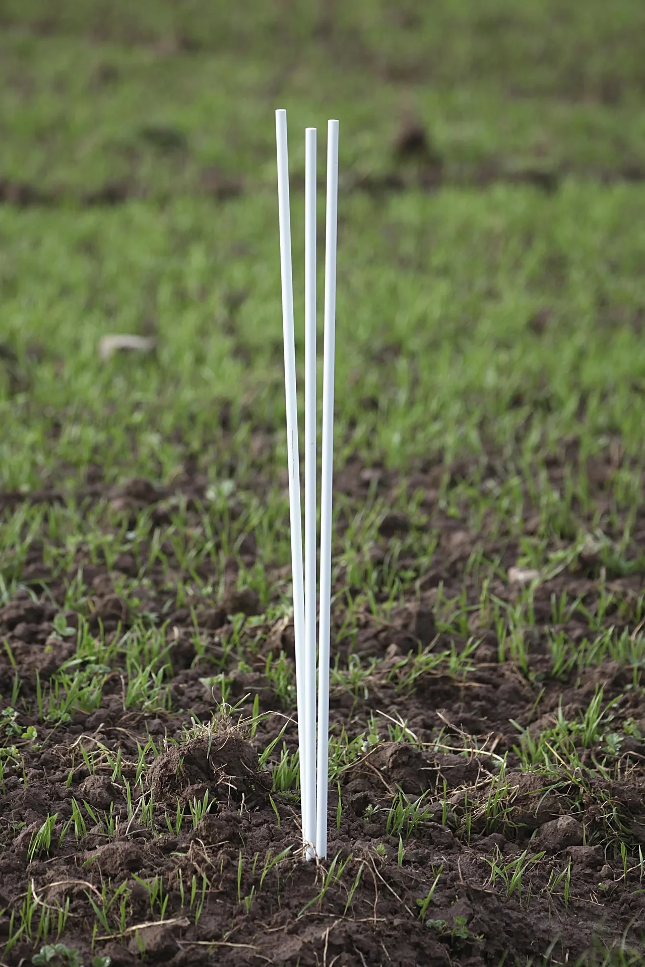 Vogel Abwehr - Drache mit 9 m Stab - 4