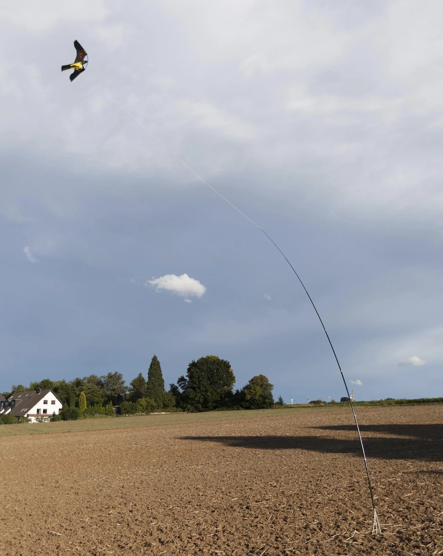 Vogel Abwehr - Drache mit 9 m Stab - 5