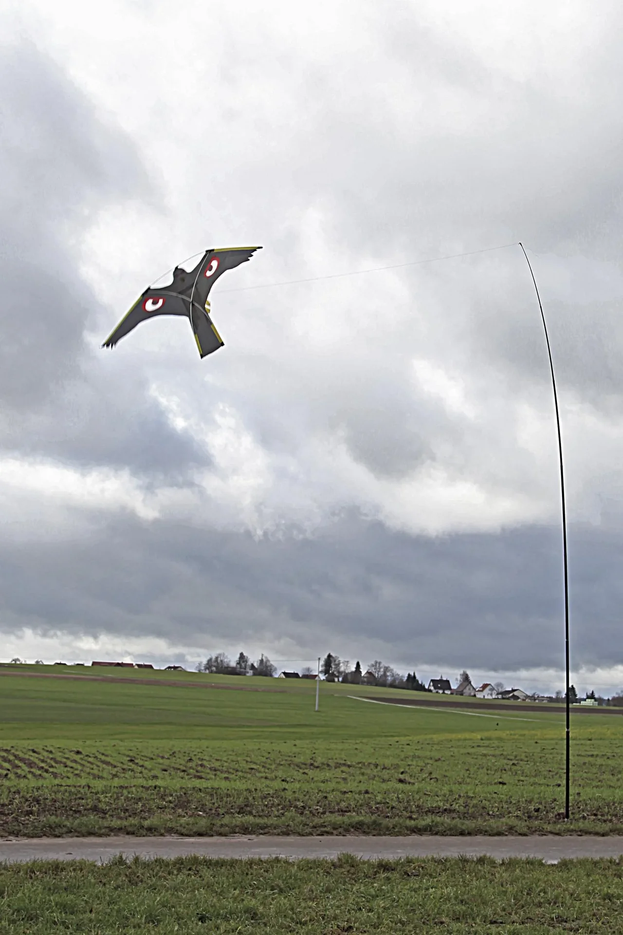 Vogel Abwehr - Drache mit 9 m Stab - 6