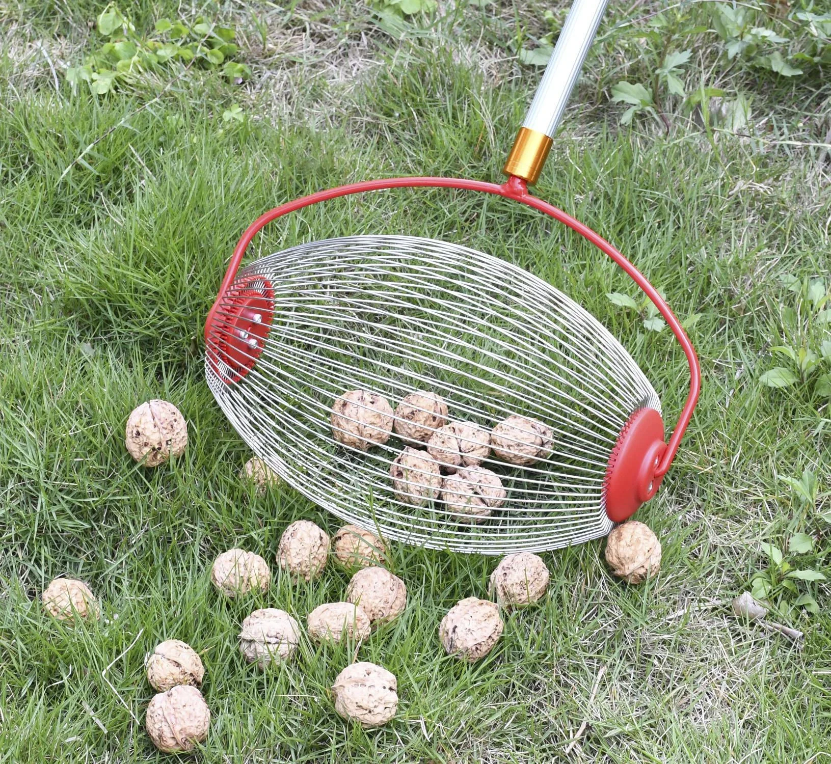 Rollsammler mit Teleskopstiel, groß - 1