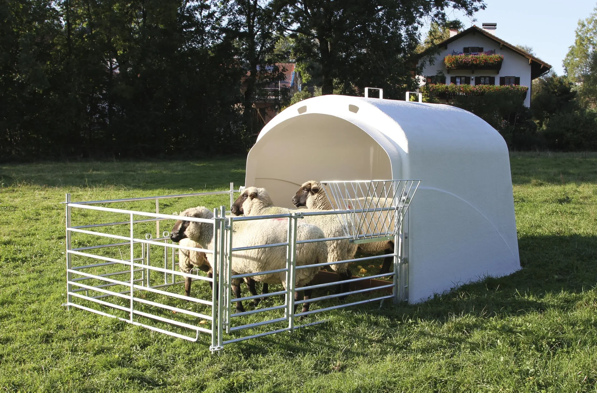 Schafpanel 1,83 Meter mit Tor - 0