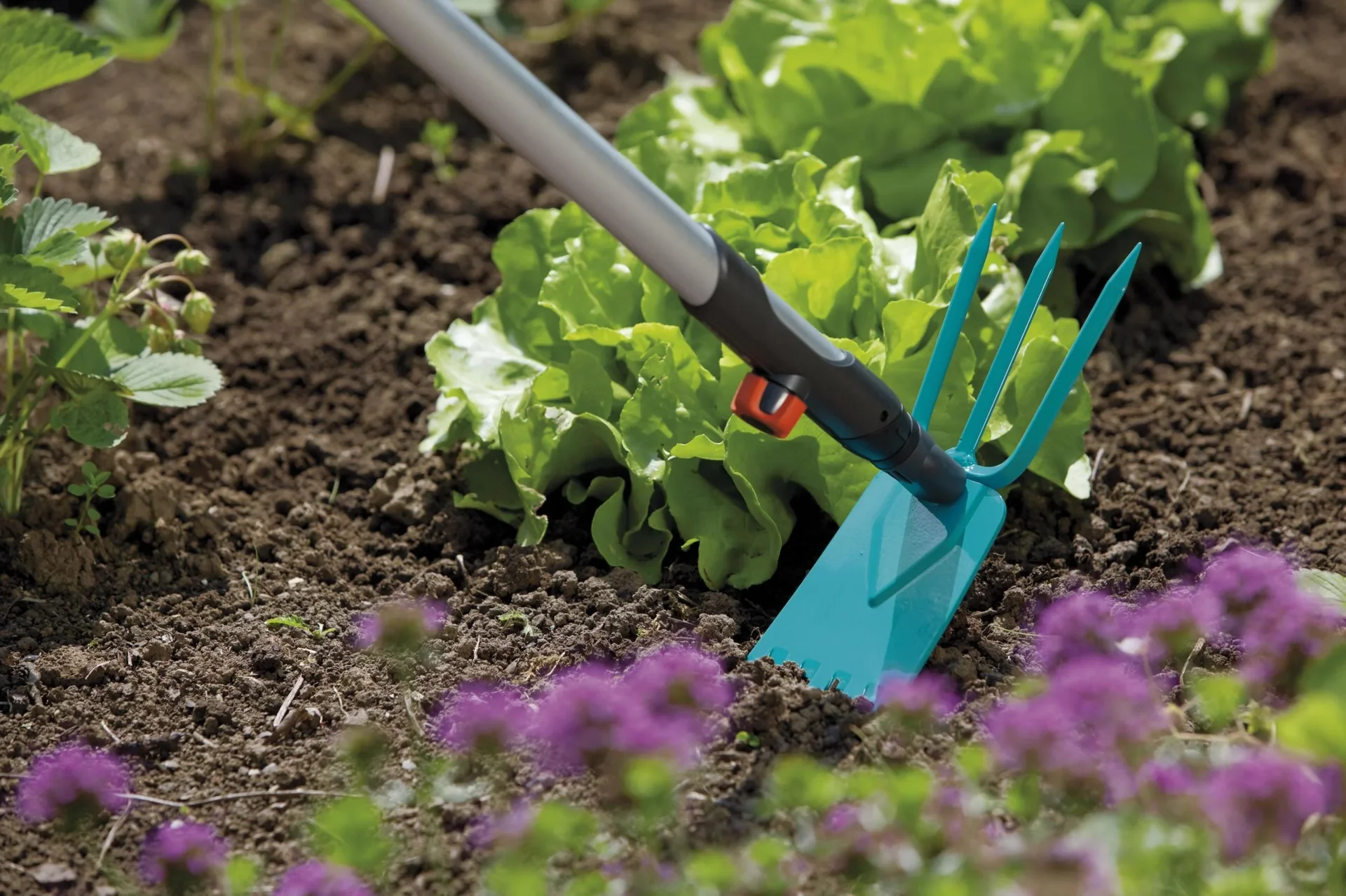 Combisystem-Gartenhacke, gerades Blatt, 3 Zinken, Arbeitsbreite 9 cm - 3