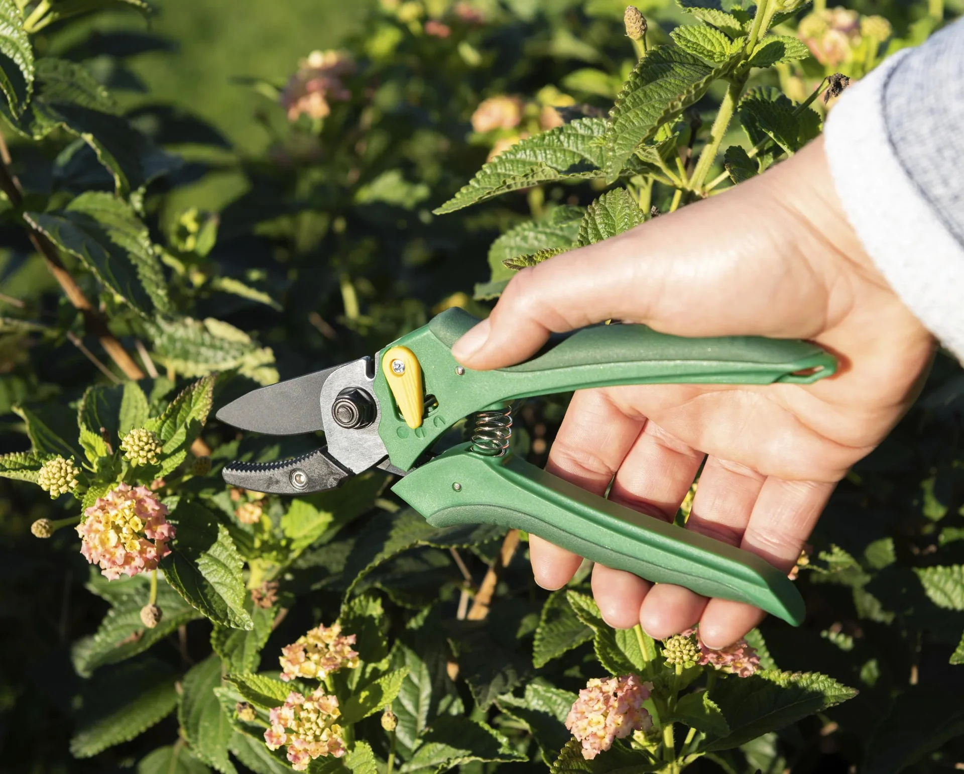 Einhand-Gartenschere - 0