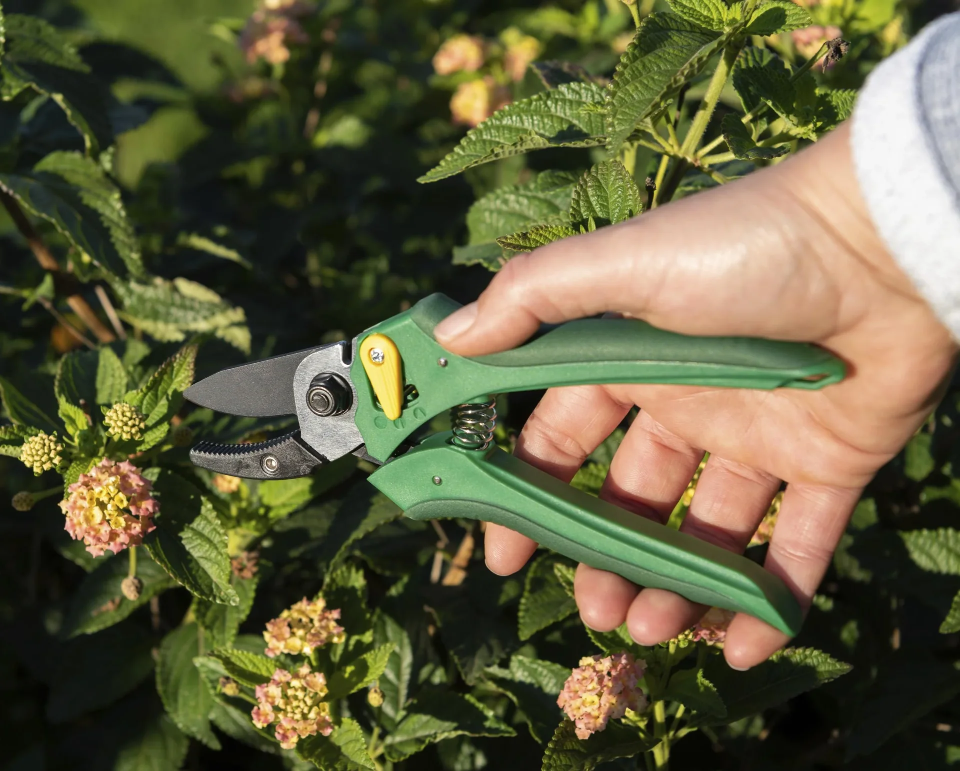 Einhand-Gartenschere - 4