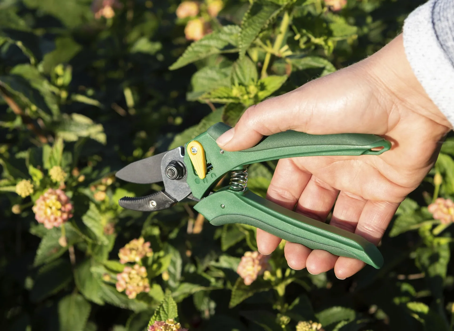 Einhand-Gartenschere - 5