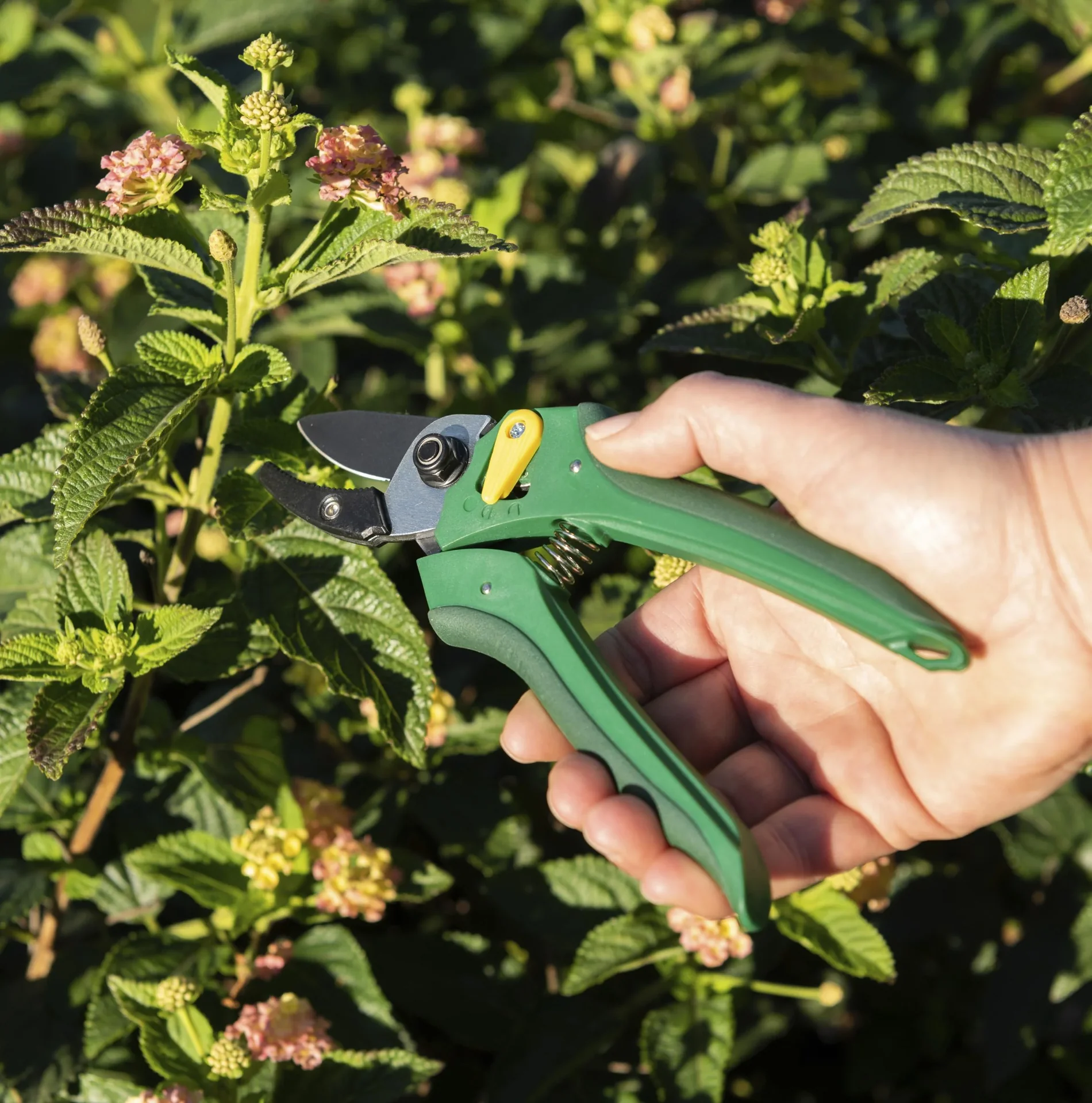 Einhand-Gartenschere - 6