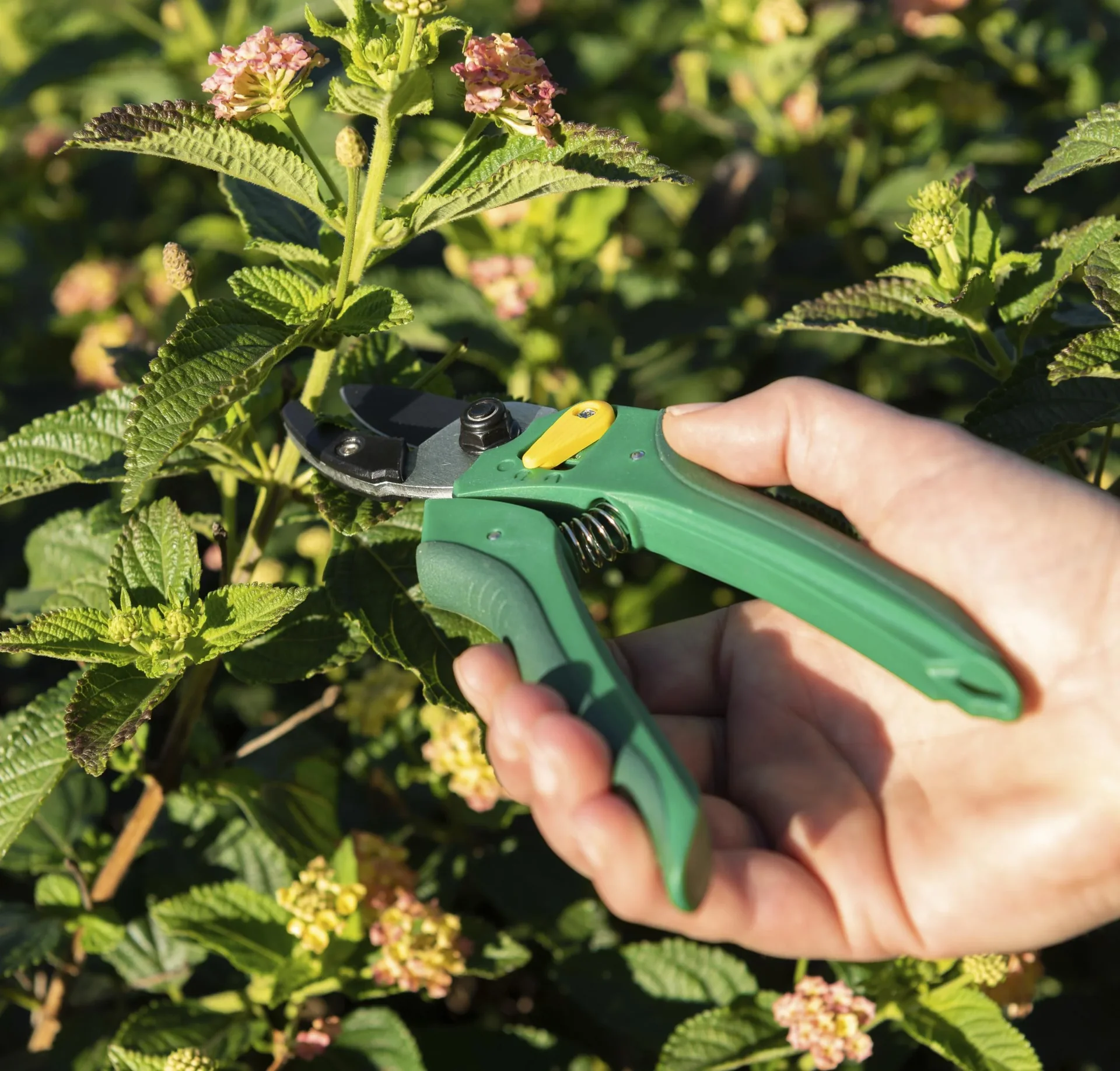 Einhand-Gartenschere - 7