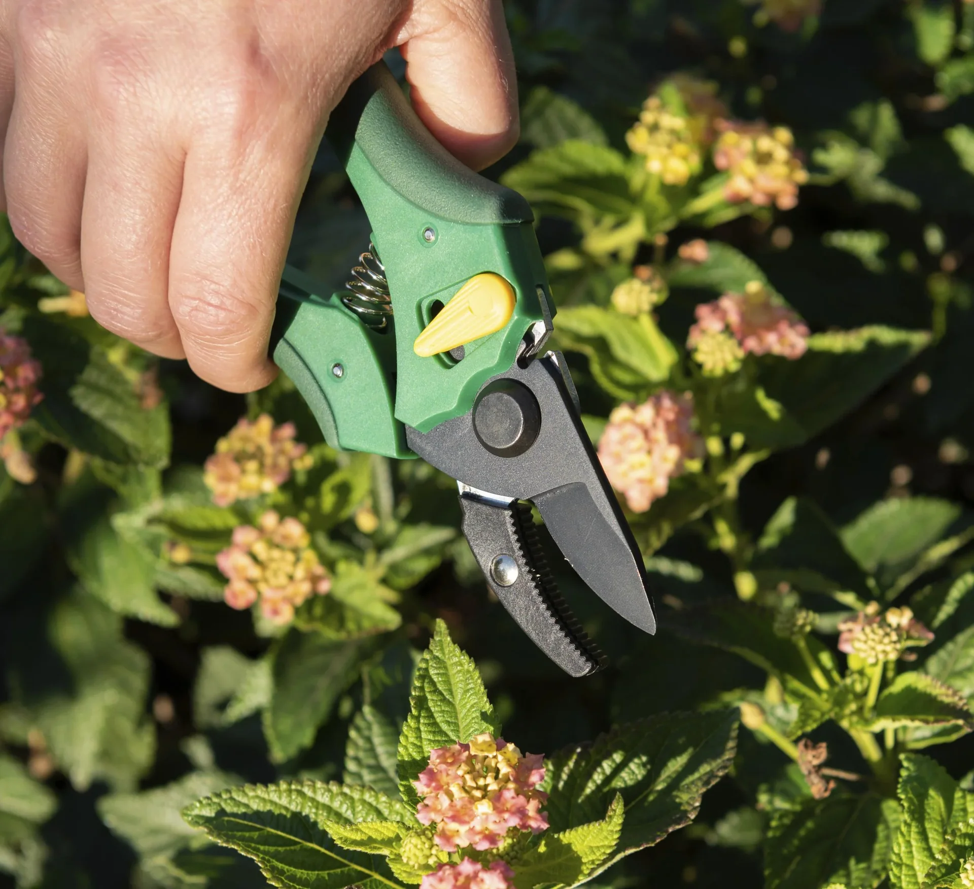 Einhand-Gartenschere - 8