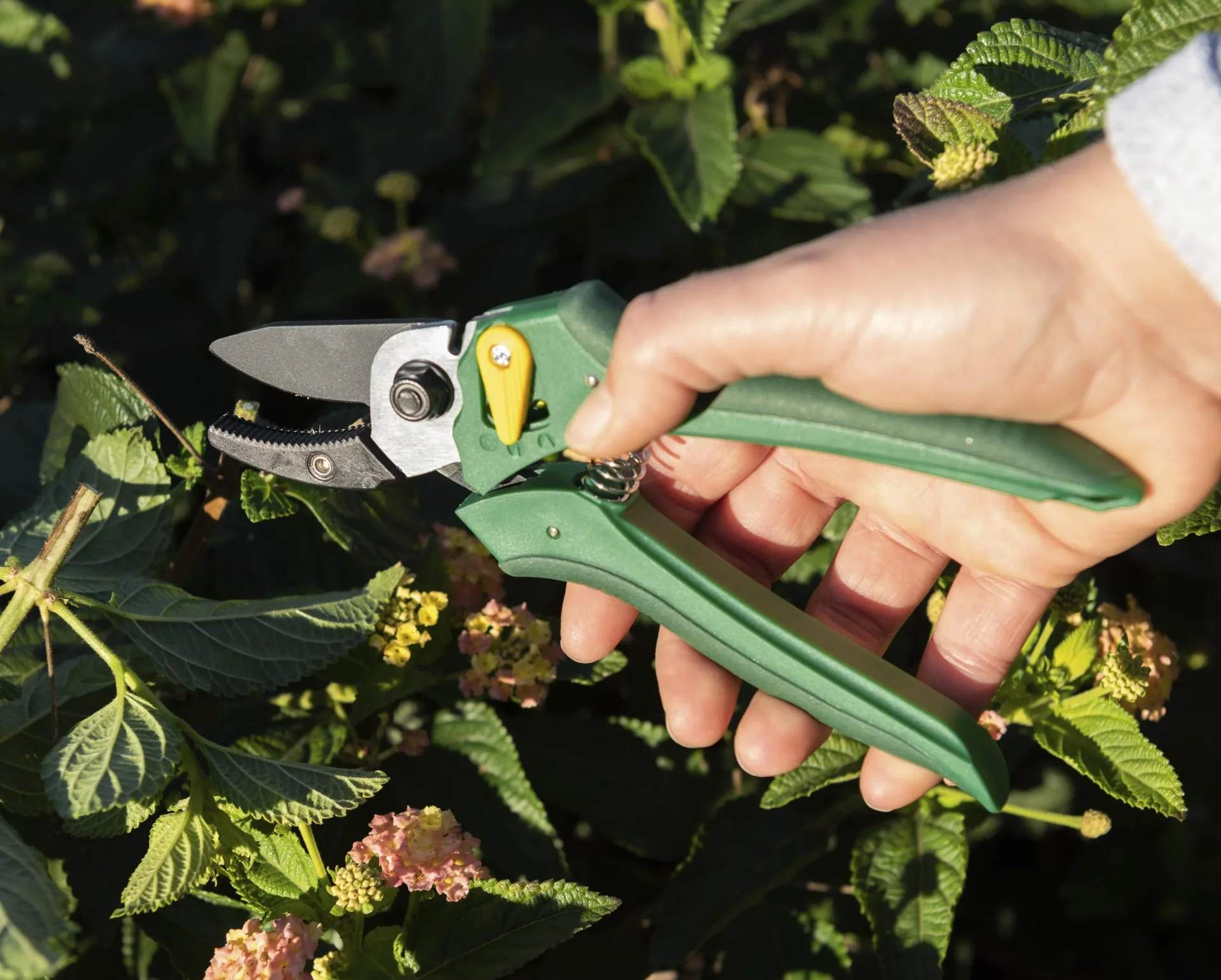 Einhand-Gartenschere - 9