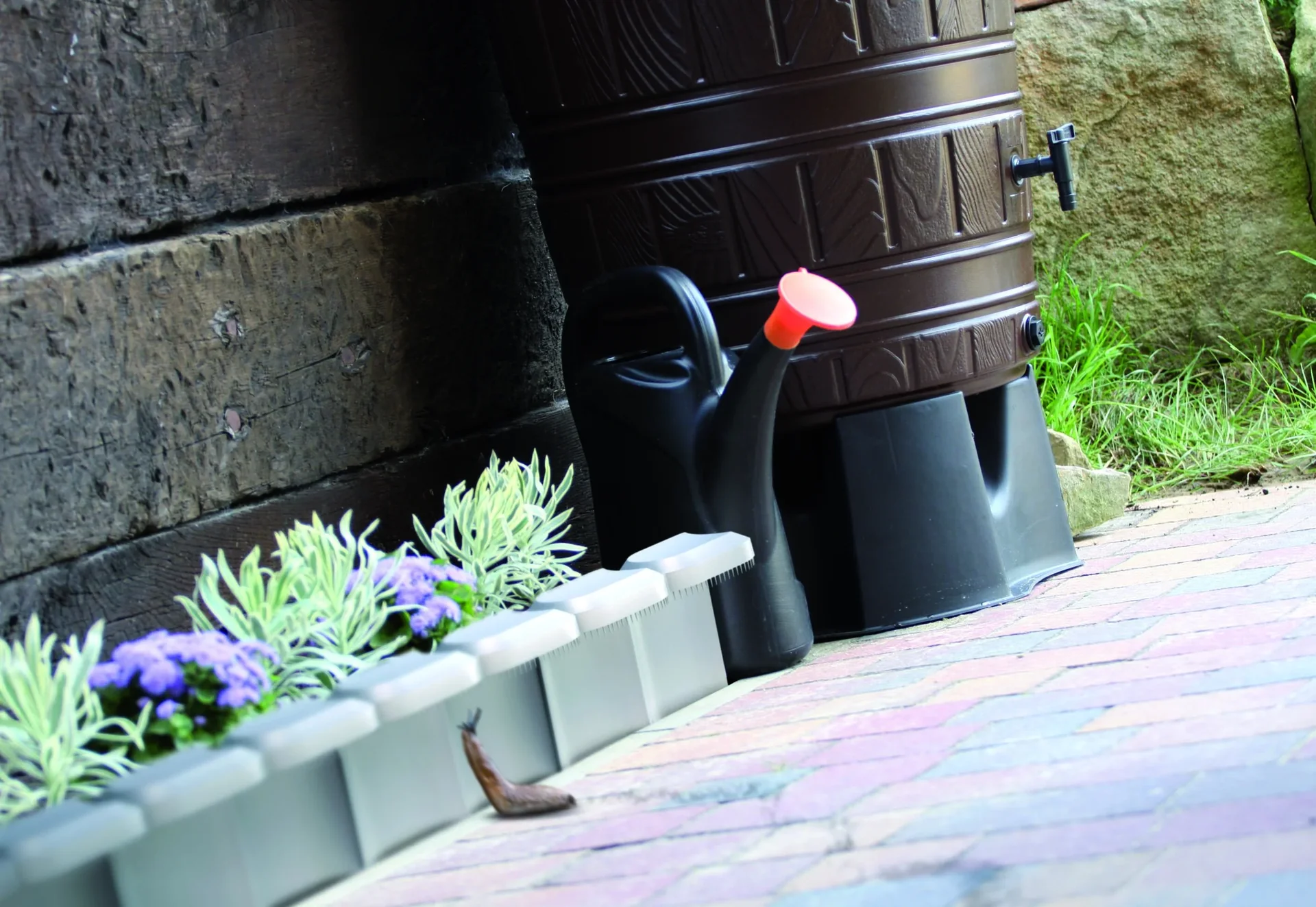 Beeteinfassung SNAIL, steingrau - 0