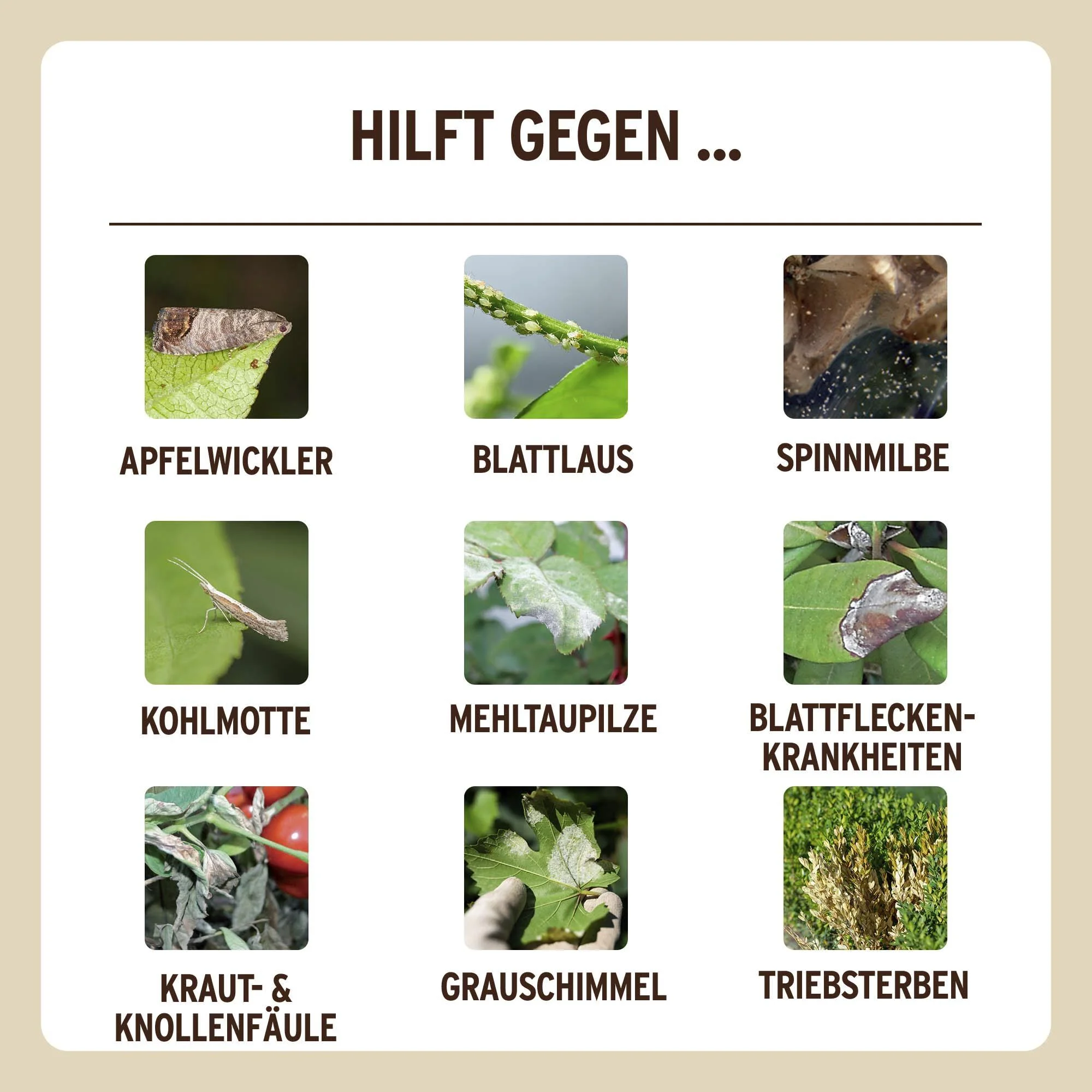Grundstoff Urtica 750 ml - 8