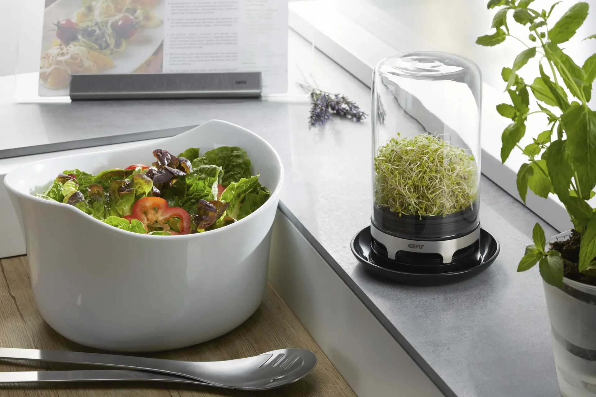 Sprossenglas "BIVITA" - 0