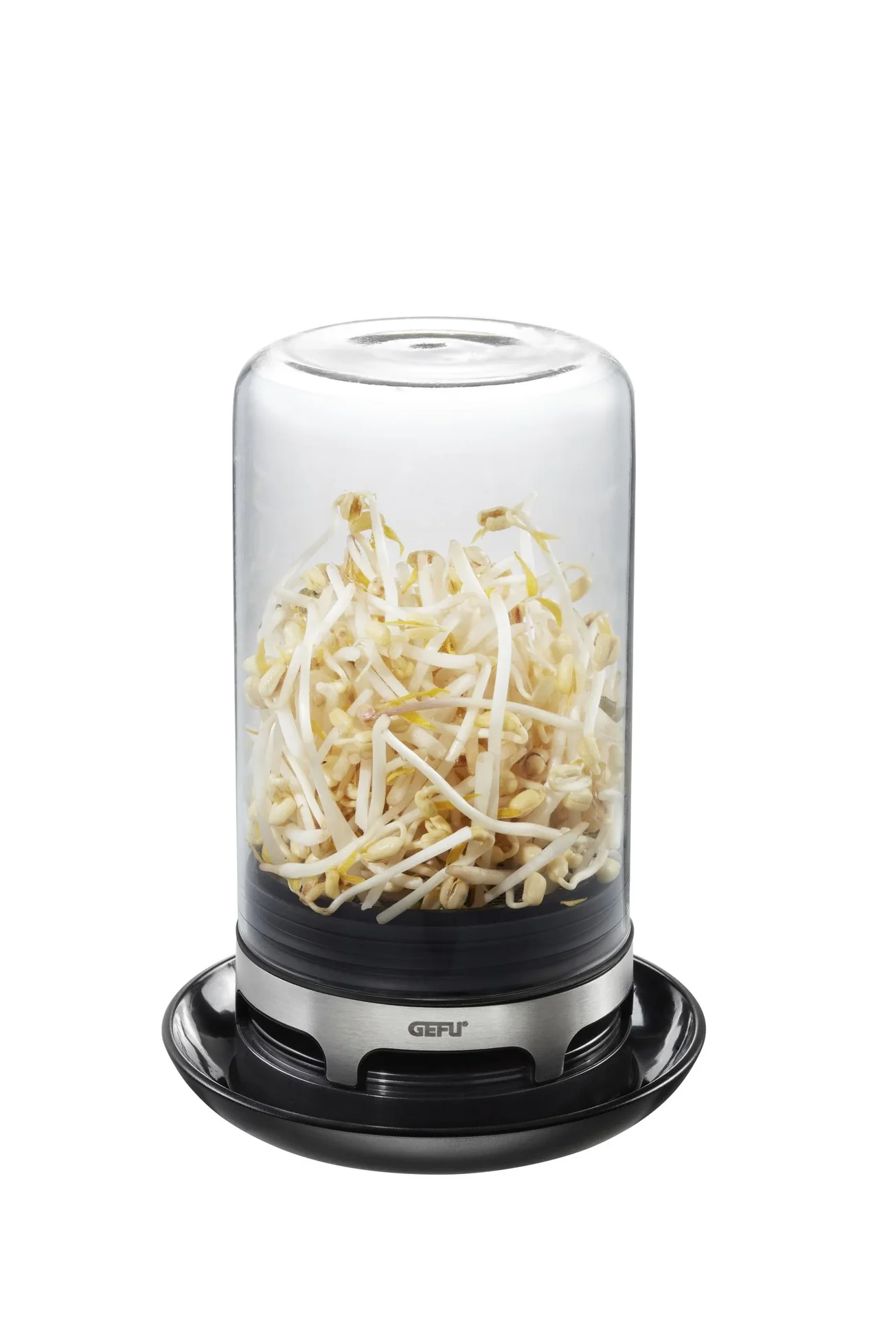 Sprossenglas "BIVITA" - 2