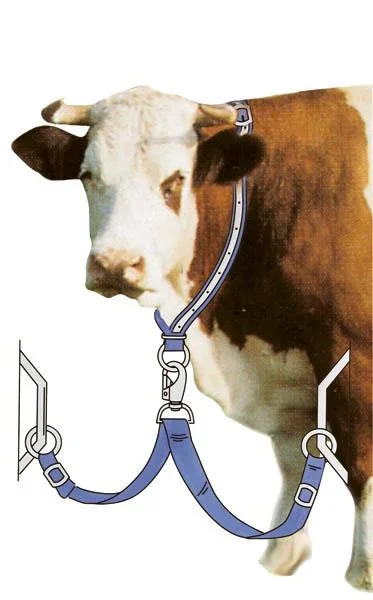 Halsriemen zum Anbinden für Kühe, Rinder, Jungtiere, aus Trevira - 2