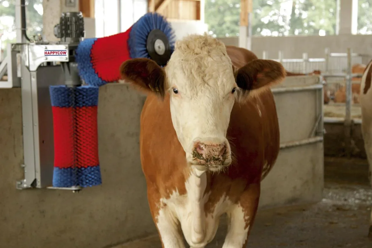 Kuhputzmaschine HappyCow Duo mit hochwertigen Polyamidborsten - 0