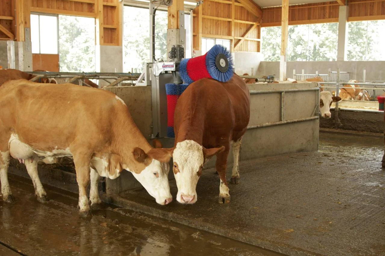 Kuhputzmaschine HappyCow Duo mit hochwertigen Polyamidborsten - 1