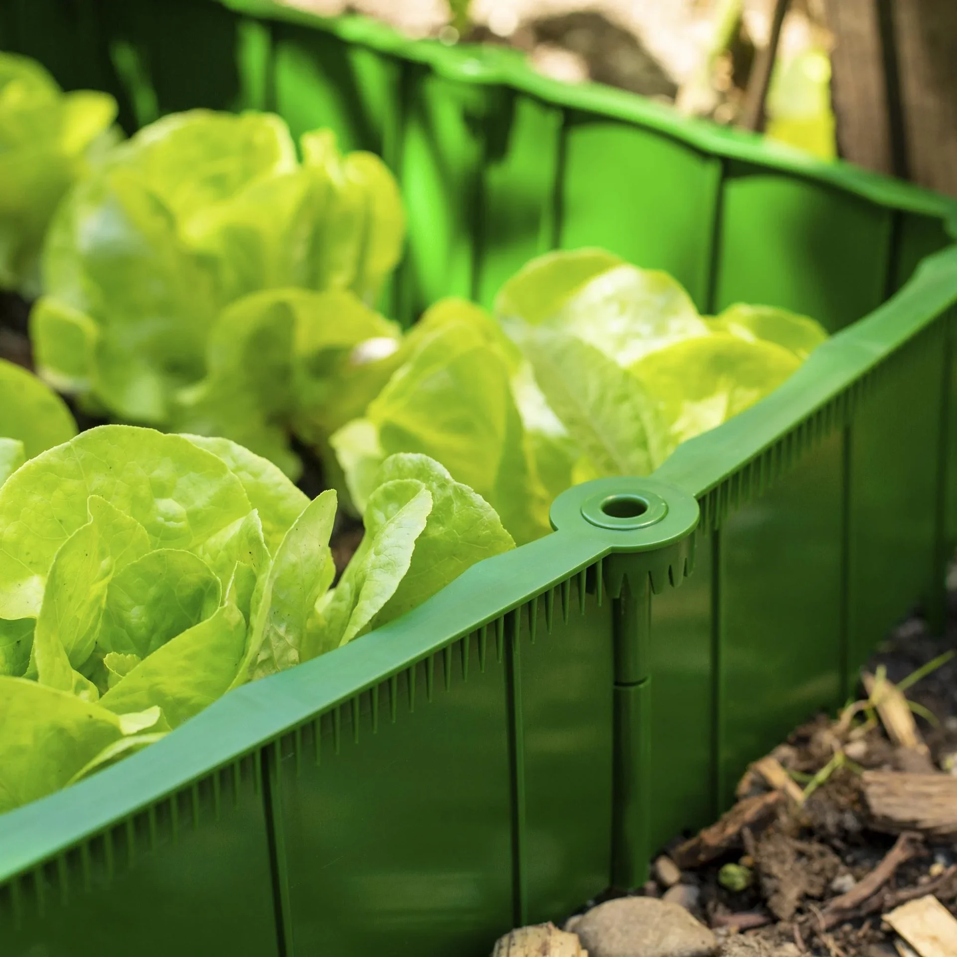 Schneckenzaun 1m grün - 5