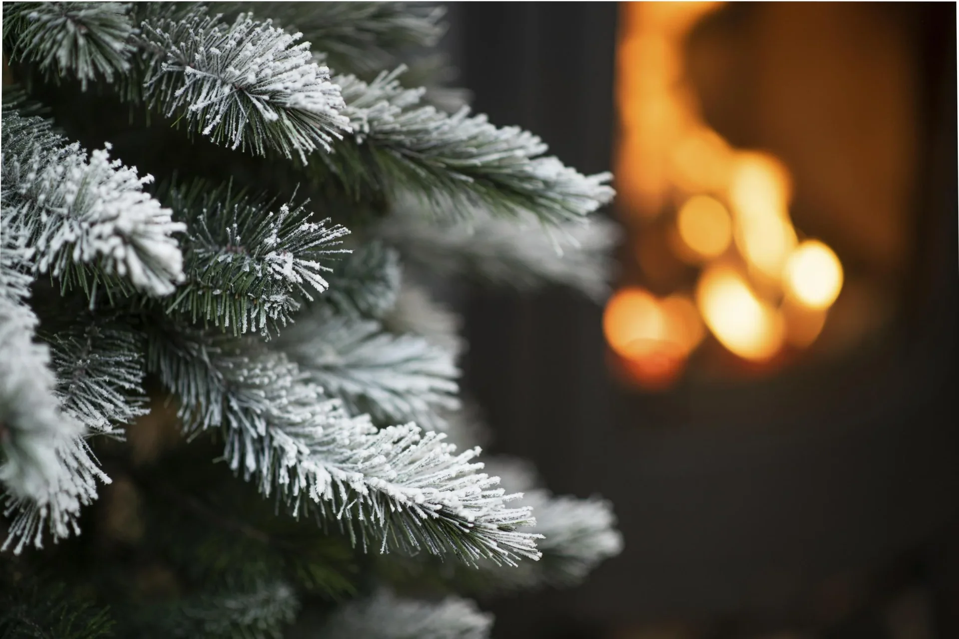 Weihnachtsbaum Cedar Kiefer Frost 210 cm - 0