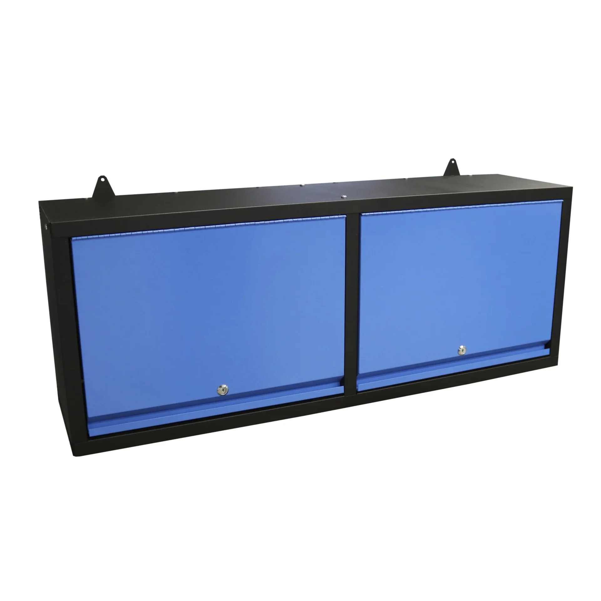 Wandschrank GWS 2T, 1200 x 305 x 460 mm - 1