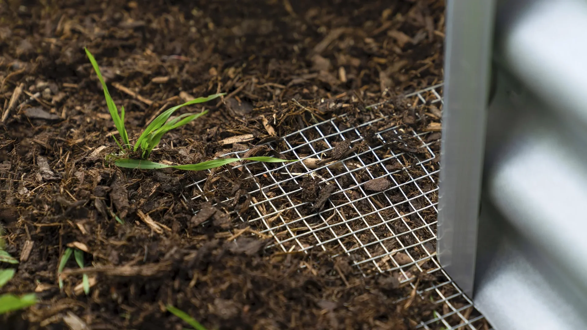 Drahtgeflecht Draneo für Hochbeet - 0