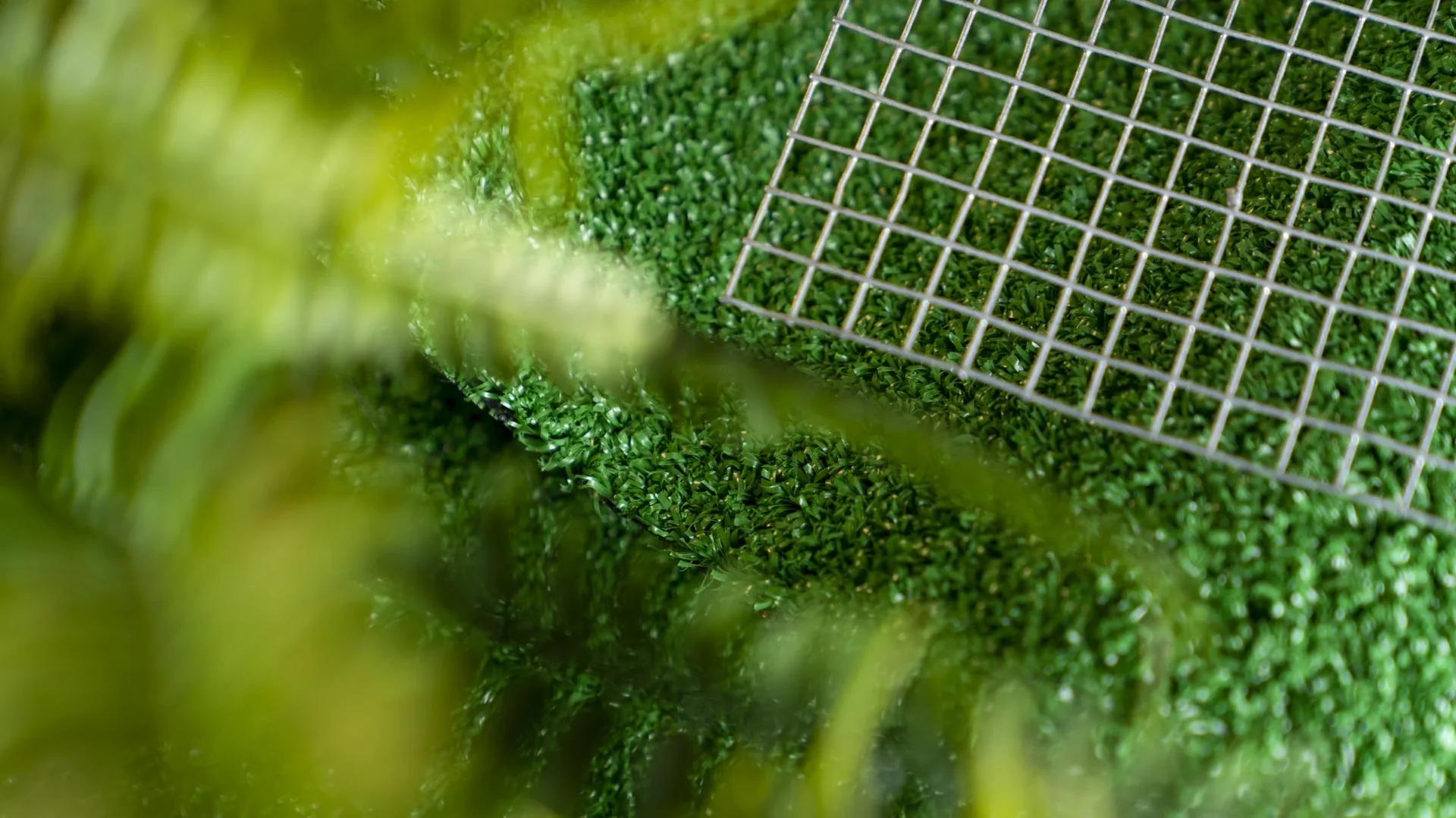 Drahtgeflecht Draneo für Hochbeet - 2