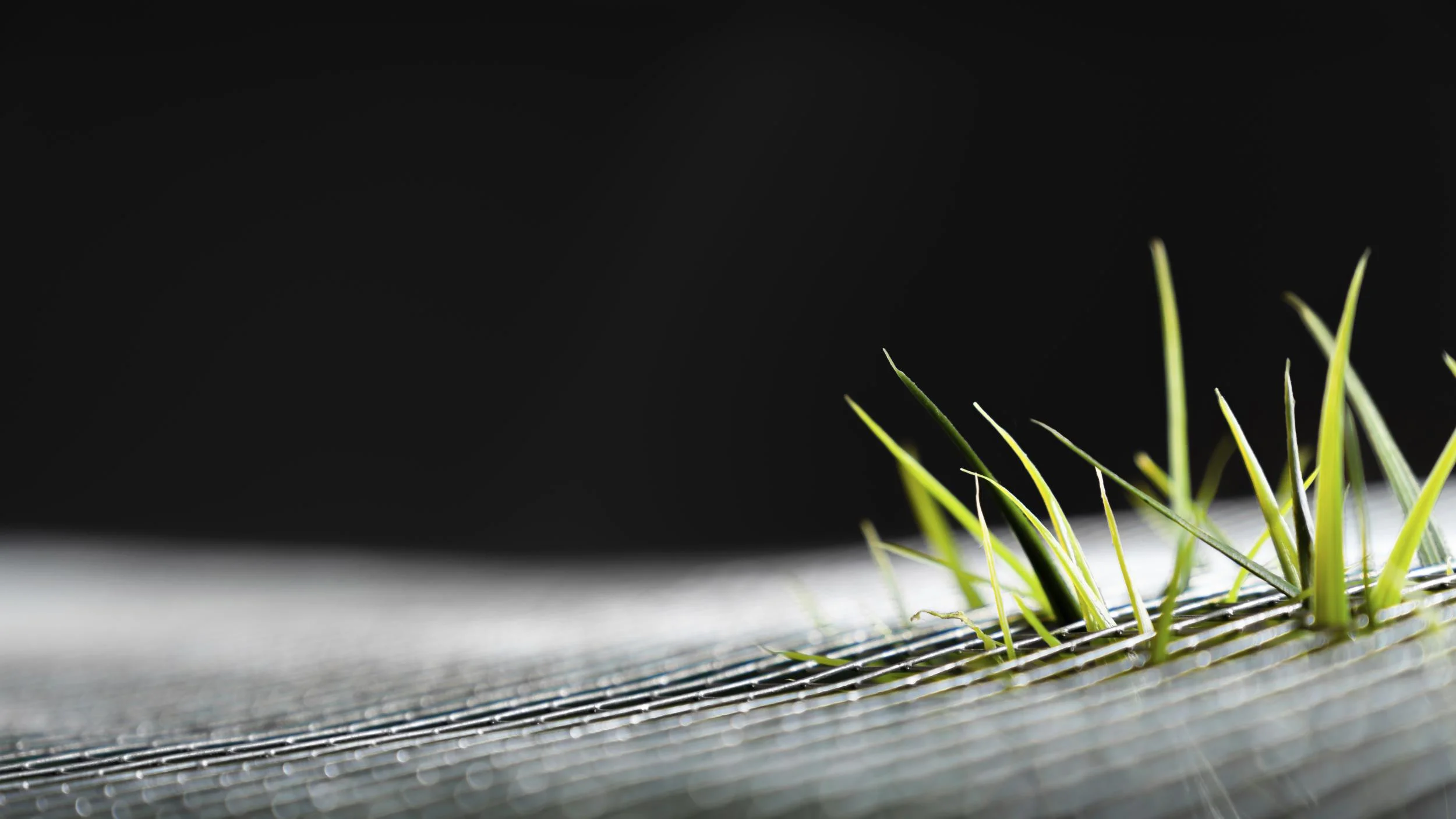 Drahtgeflecht Draneo für Hochbeet - 4