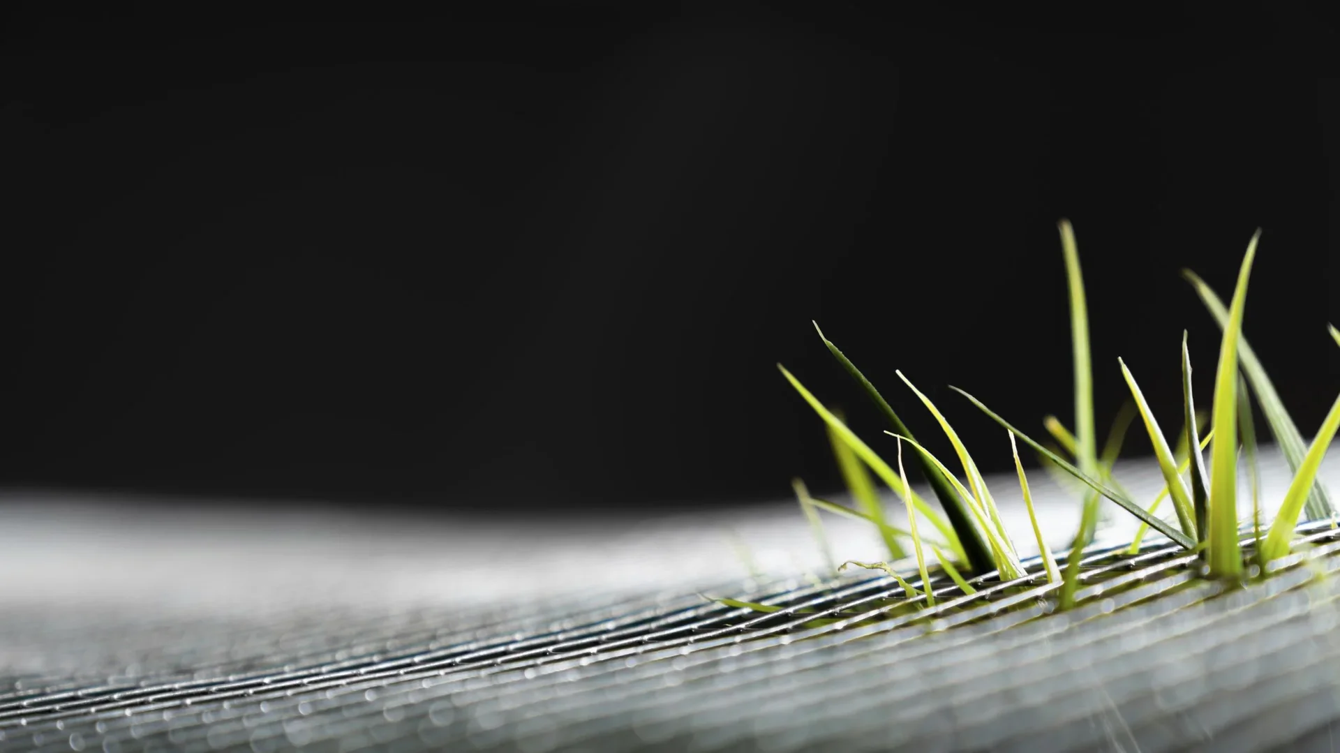 Drahtgeflecht Draneo für Hochbeet - 4