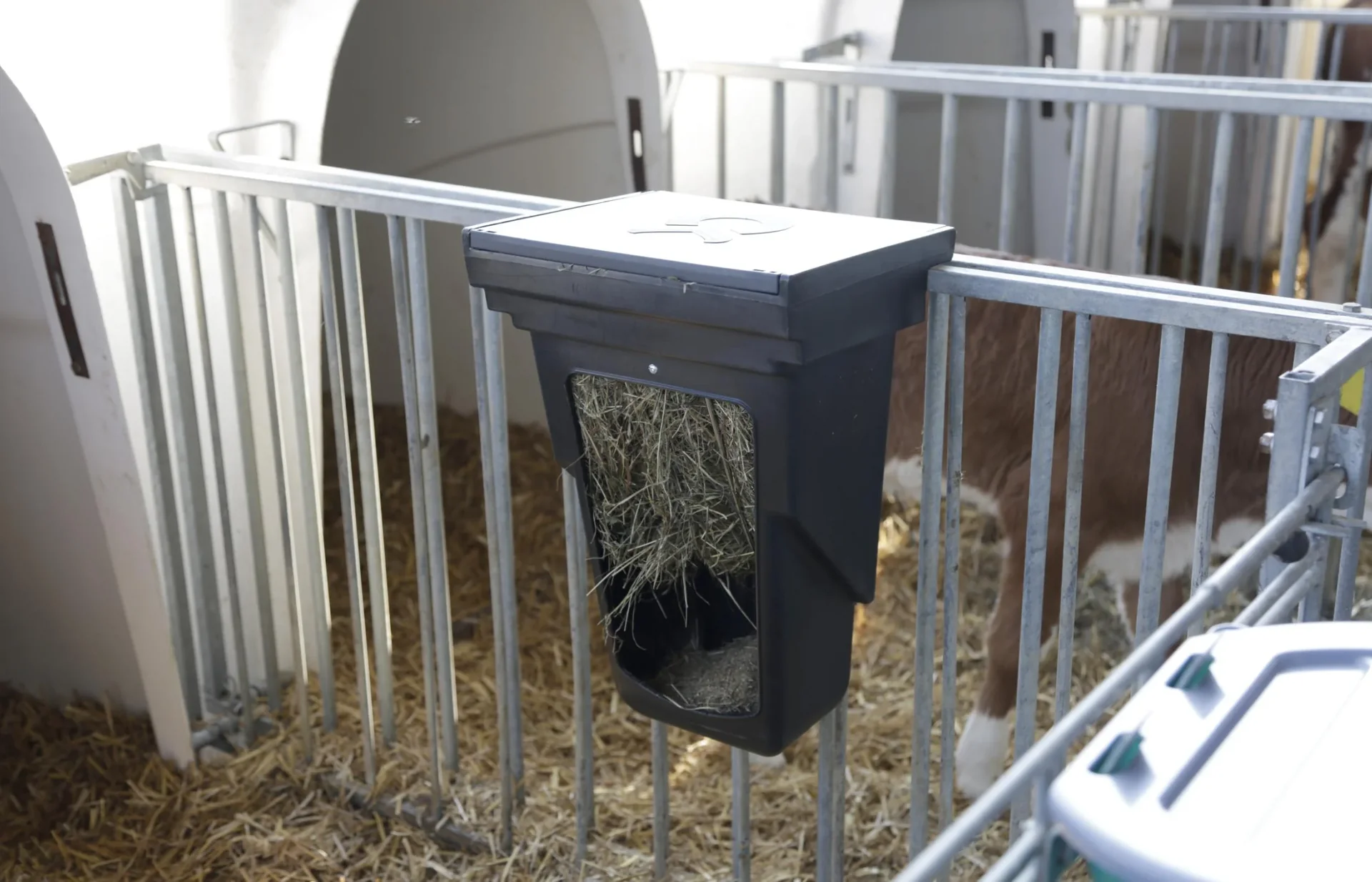 Kombi-Futterbox klein für Kälberhüttenumzäunung - 2