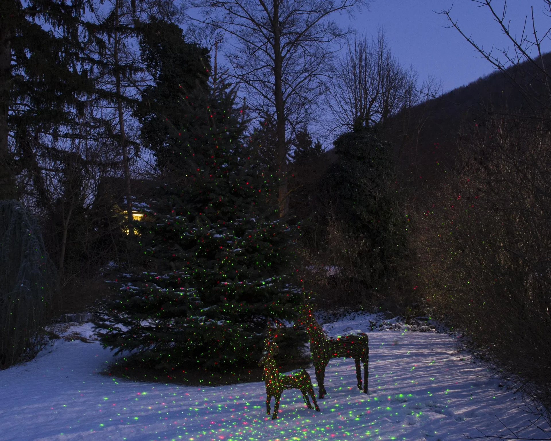 Laserlicht-System Star Shower mit Sensor - 2