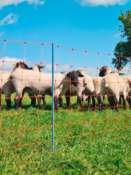 Schafnetz OviNet Premium, 50 m, orange, 90 cm, Einzelspitze - 3