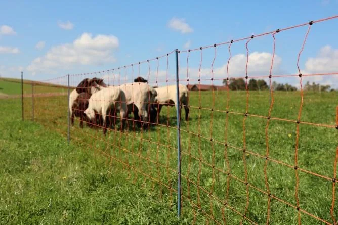 Schafnetz OviNet Premium, 50 m, orange, 90 cm, Einzelspitze - 8