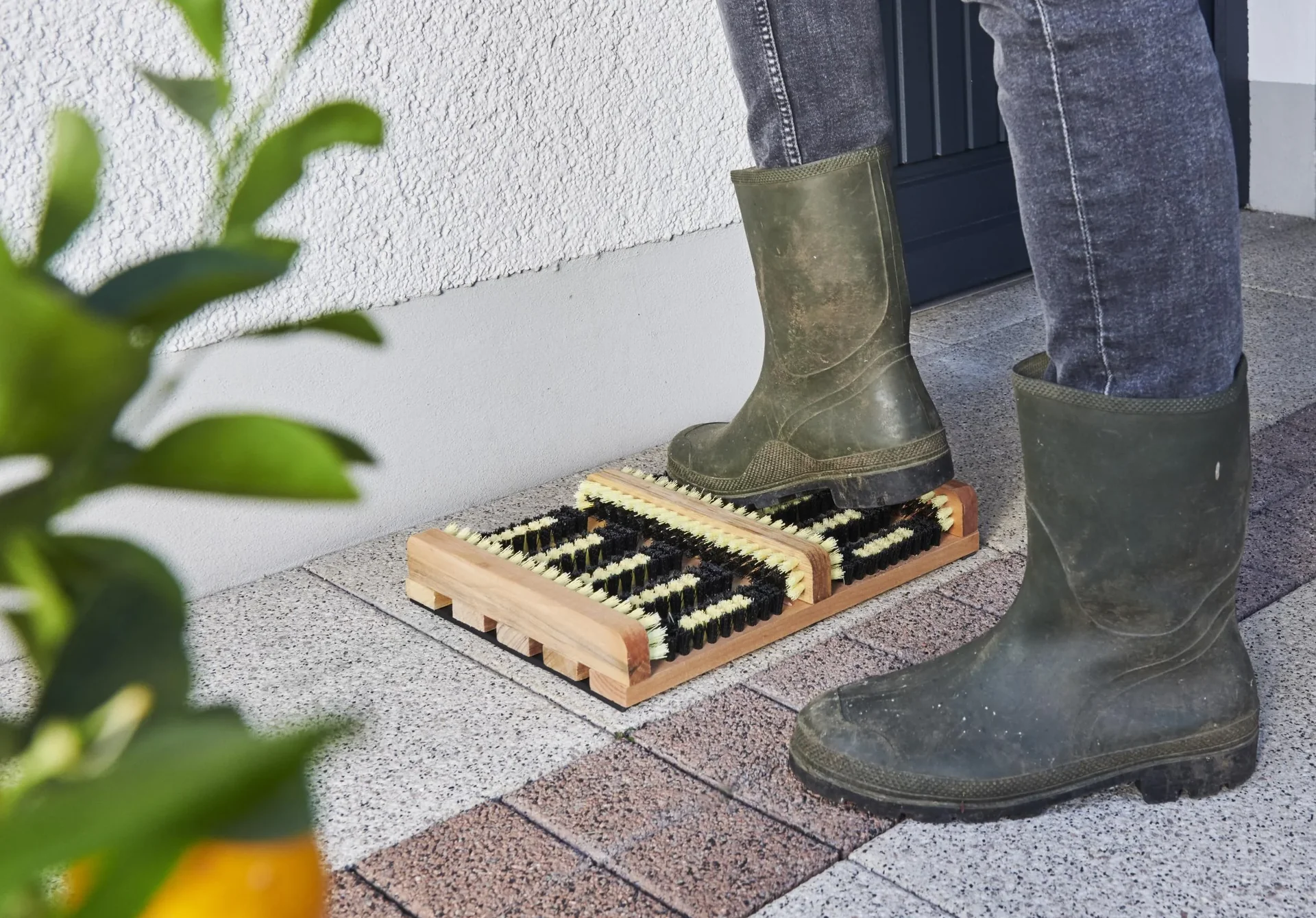 Stiefel und Schuhreiniger - 1