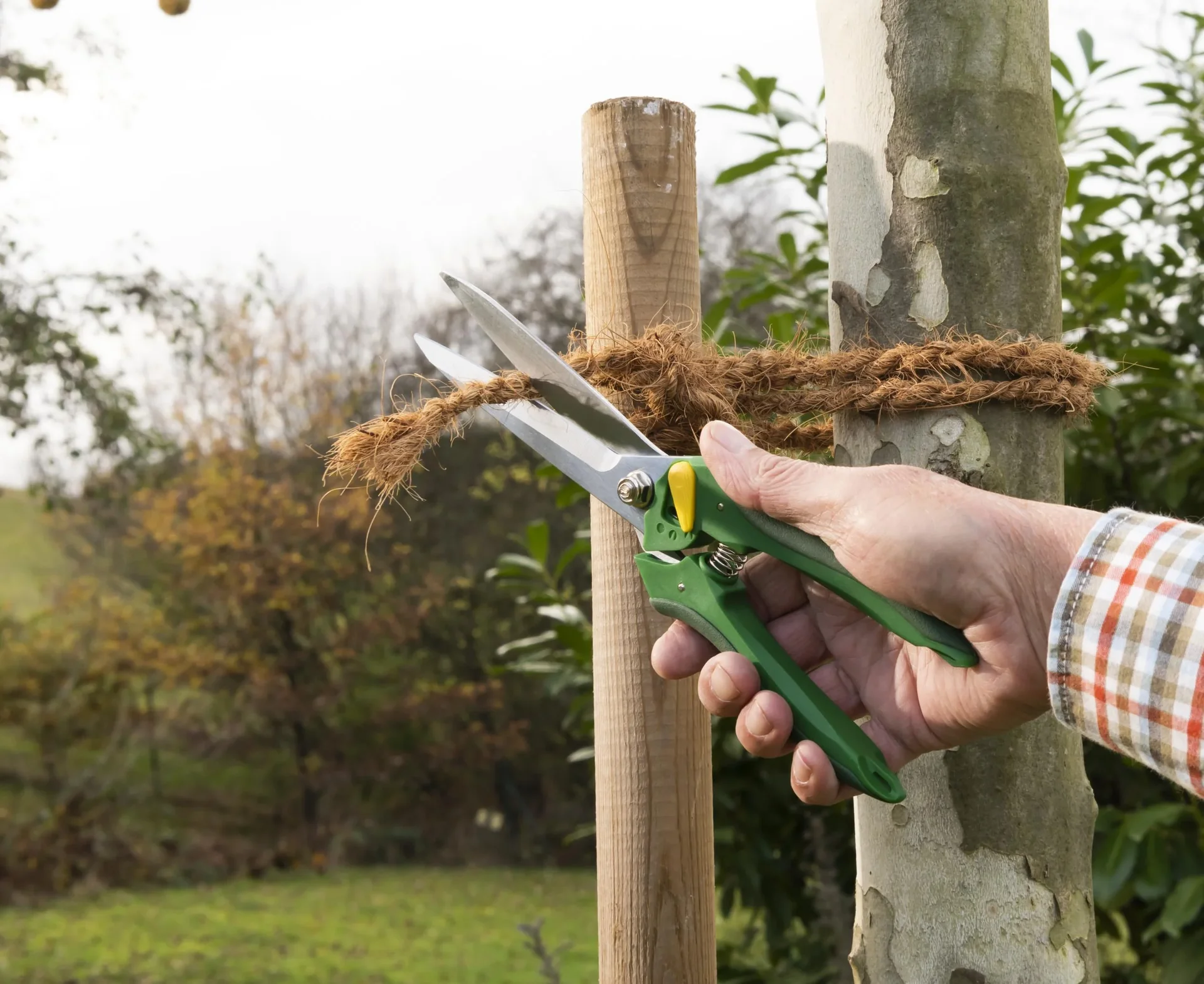 Einhand-Gartenschere, Multi - 0