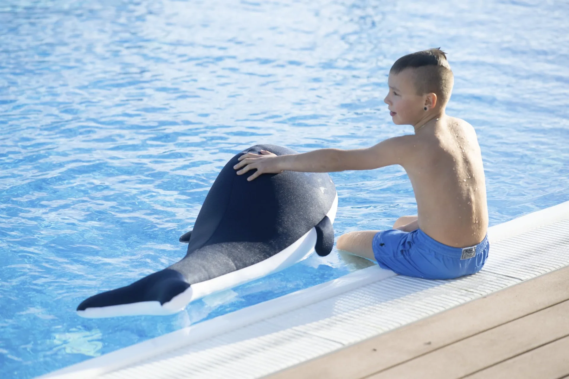 Pool Buddy Wal blau - 5