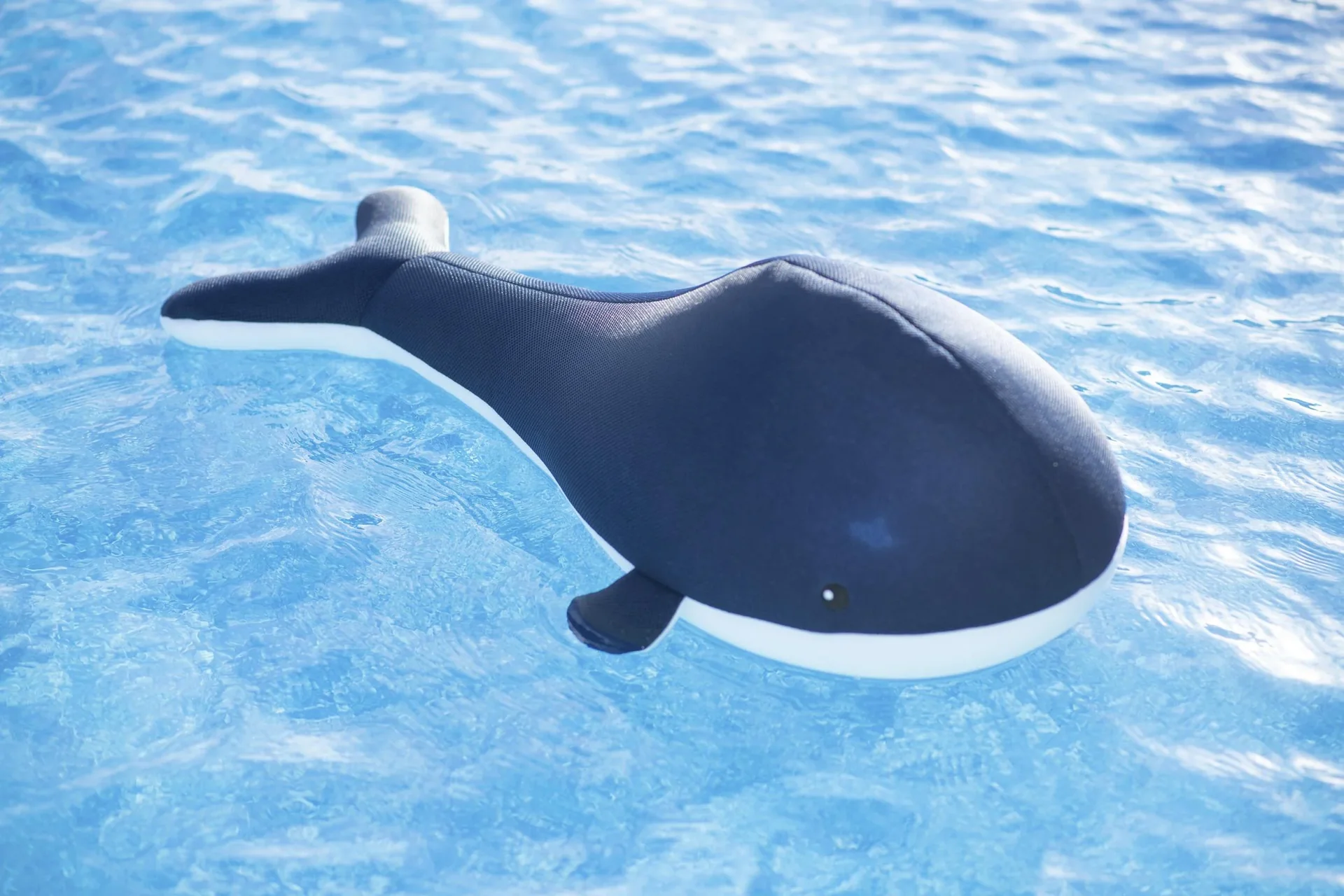 Pool Buddy Wal blau - 7