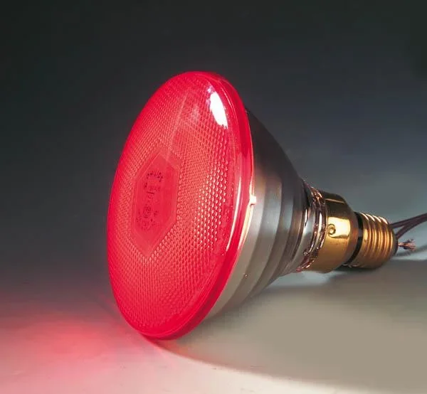 Infrarot Sparlampe 100 W - für Wärmestrahlgeräte - 0