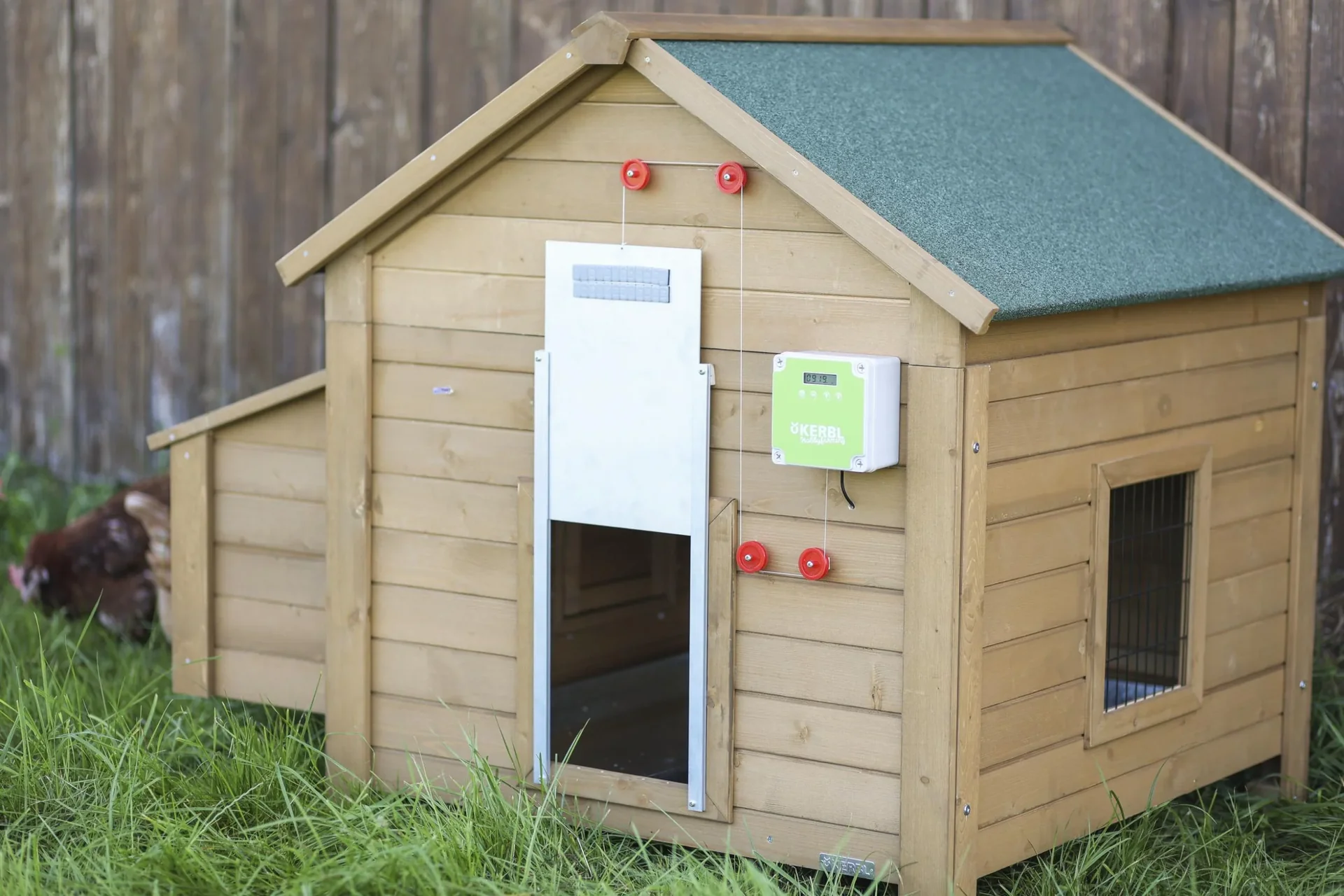 Automatische Hühnertür, Komplett-Set inklusive Schiebetür 30 x 40cm - 1