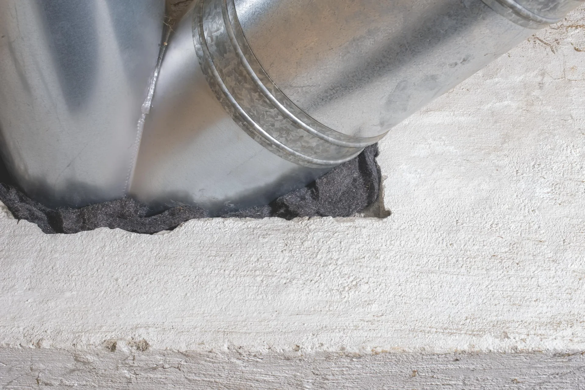 Nager-Barriere Stahlwolle - 1