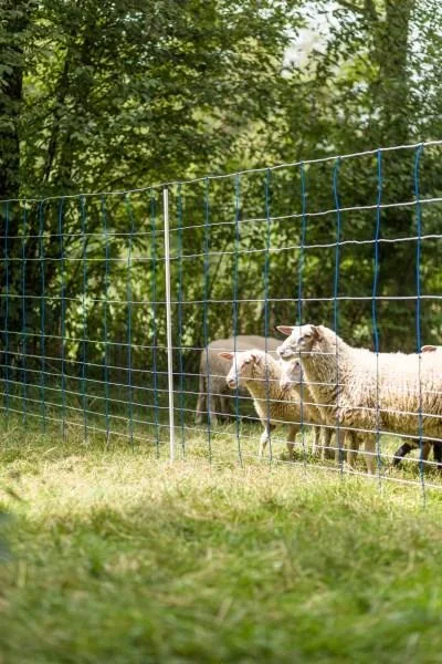 TitanNet 145, blau/weiß 50 m Höhe: 145 cm - Doppelspitze - 1