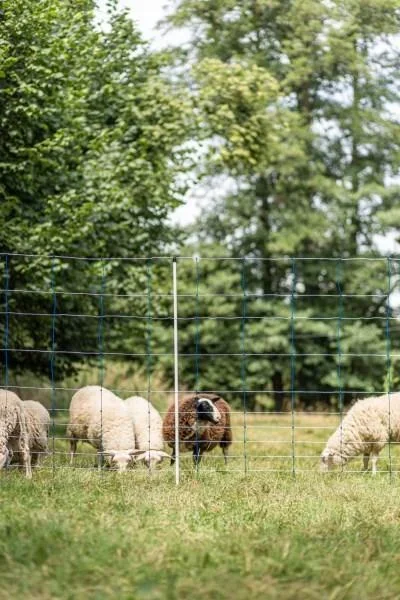 TitanNet 145, blau/weiß 50 m Höhe: 145 cm - Doppelspitze - 3