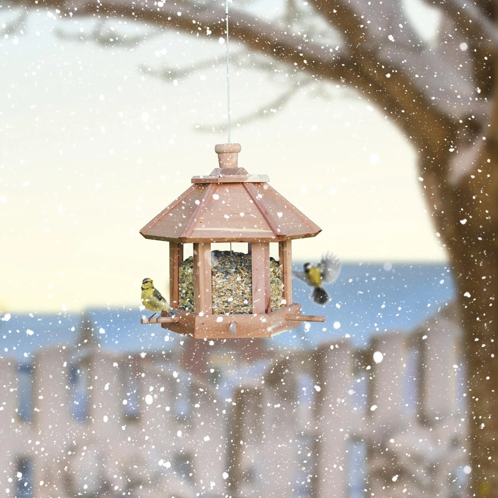 Vogelfutterhaus "Zedernholz" - 0