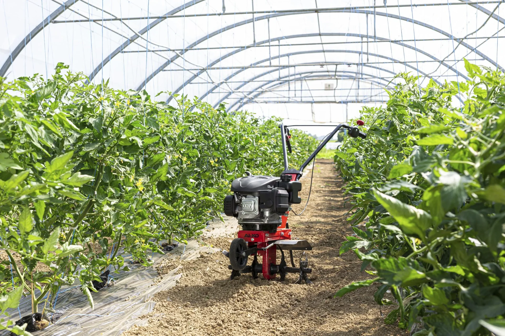 Benzin-Motorhacke MH 360 Easy - 1