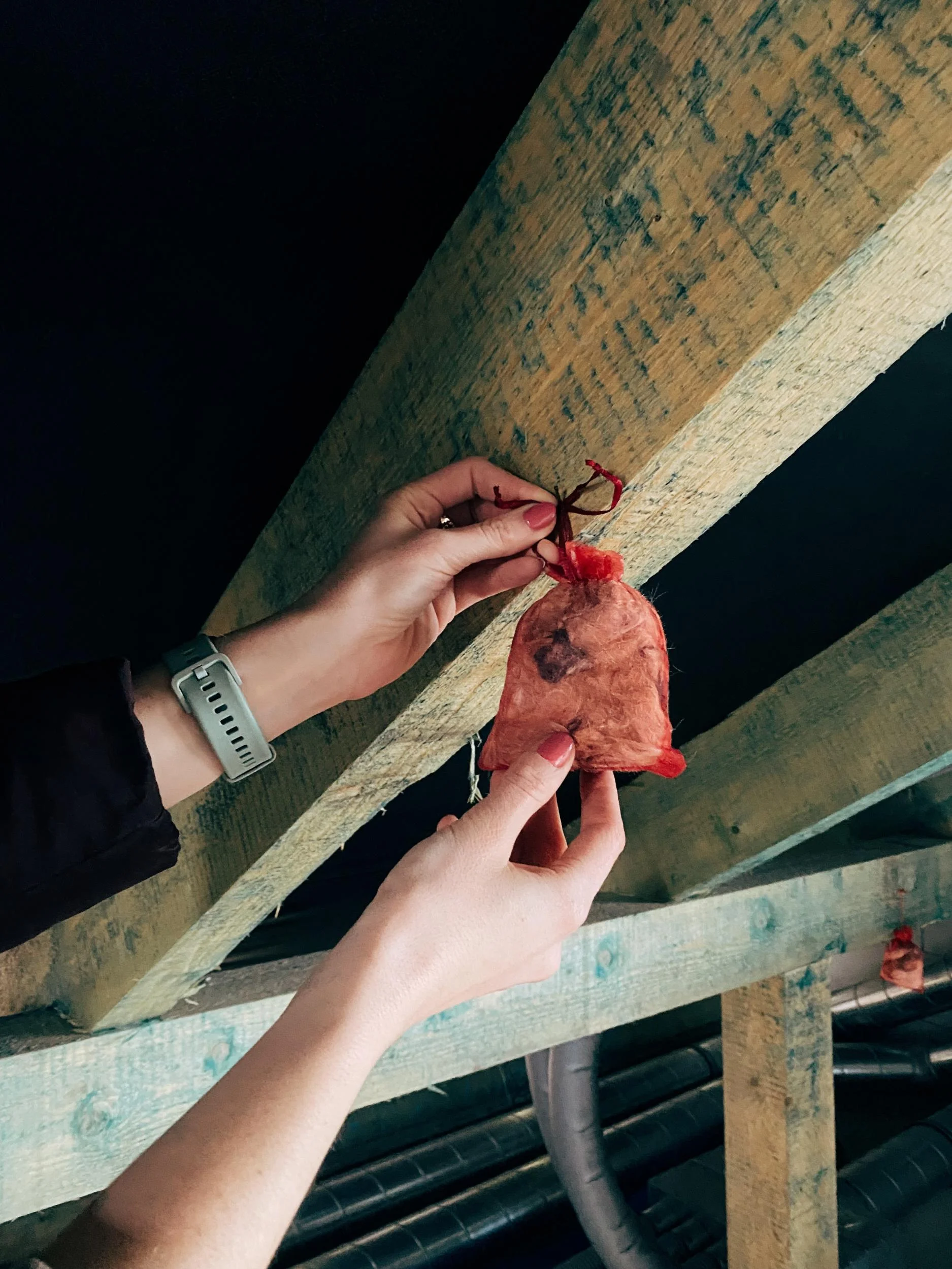 Marderabwehr 6 Stück - 1