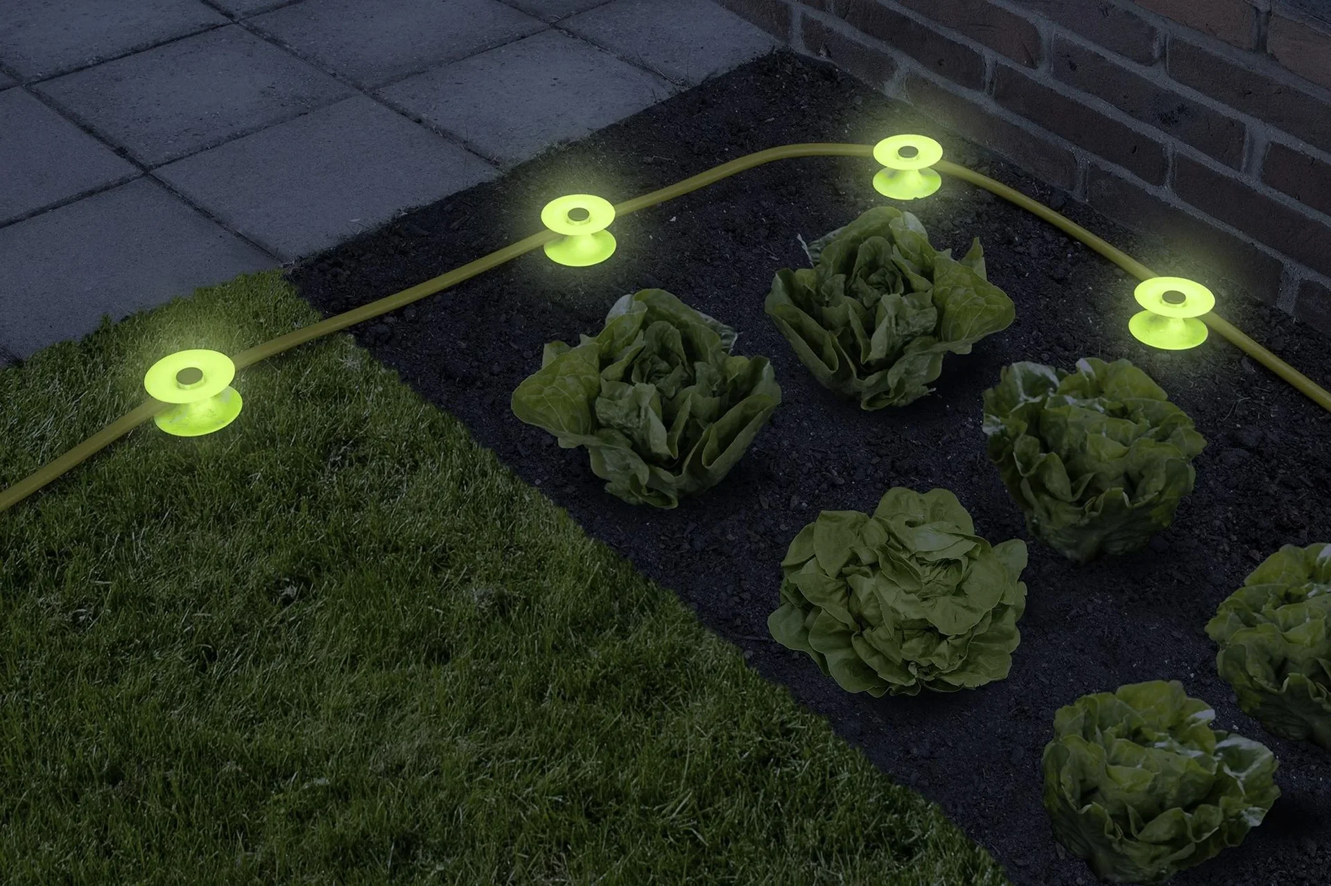 Schlauchführung, leuchtend, 2er - 0