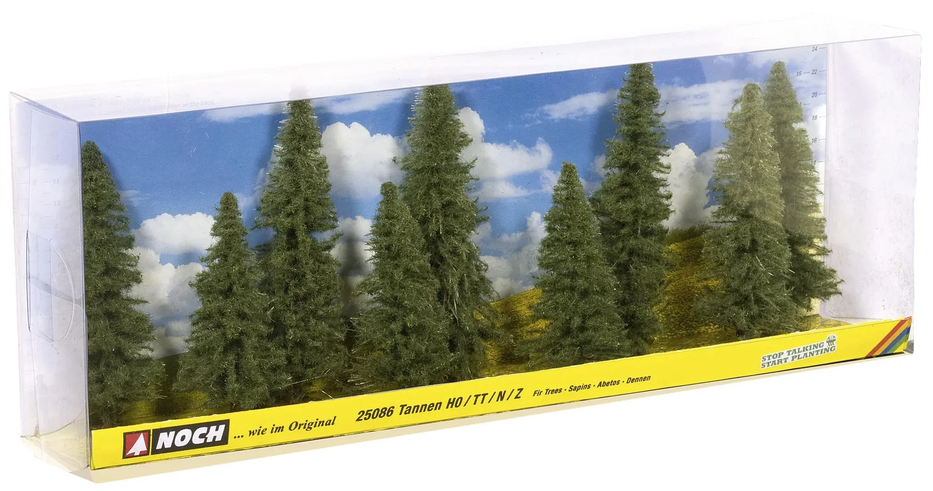 Tannen, 9 Stück, ca. 8 - 12 cm hoch - 0